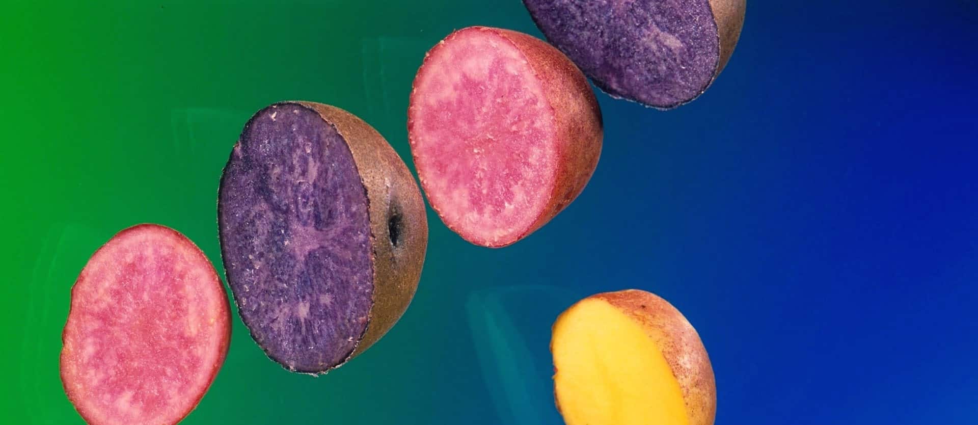 Anti-Inflammatory Effects of Purple Potatoes