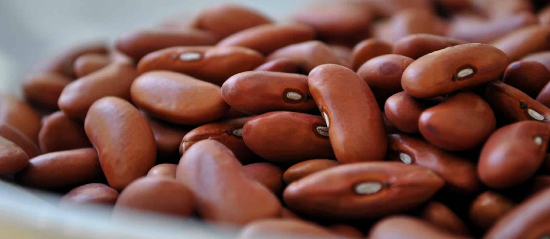 Phytates for the Prevention of Osteoporosis
