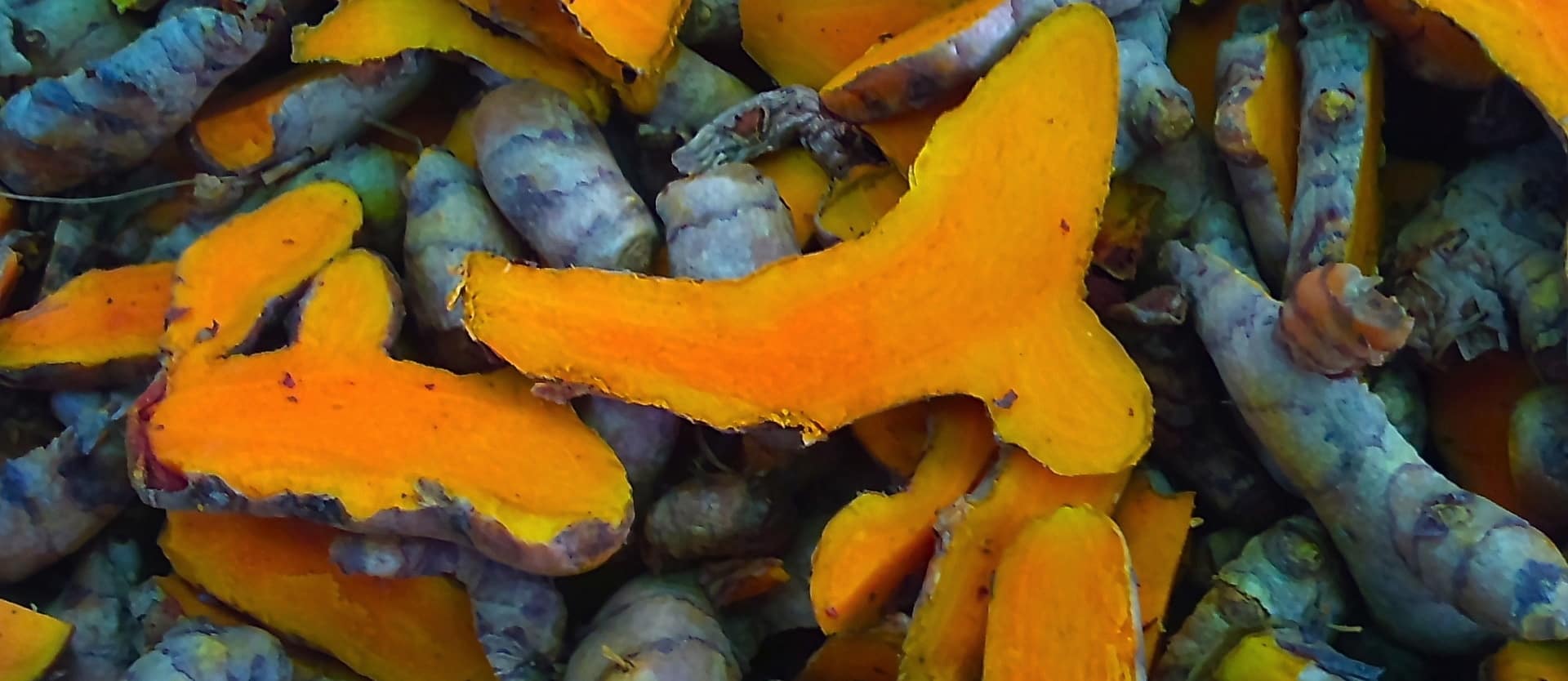 Carcinogen Blocking Effects of Turmeric Curcumin