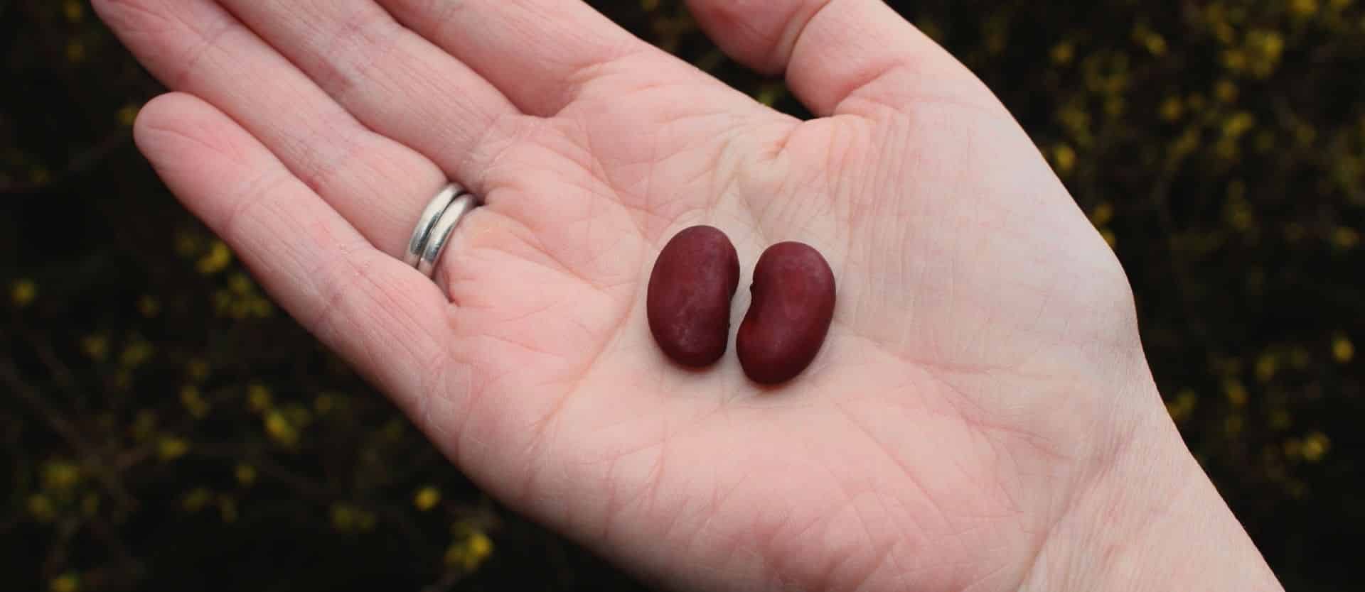 Phytates for the Treatment of Cancer