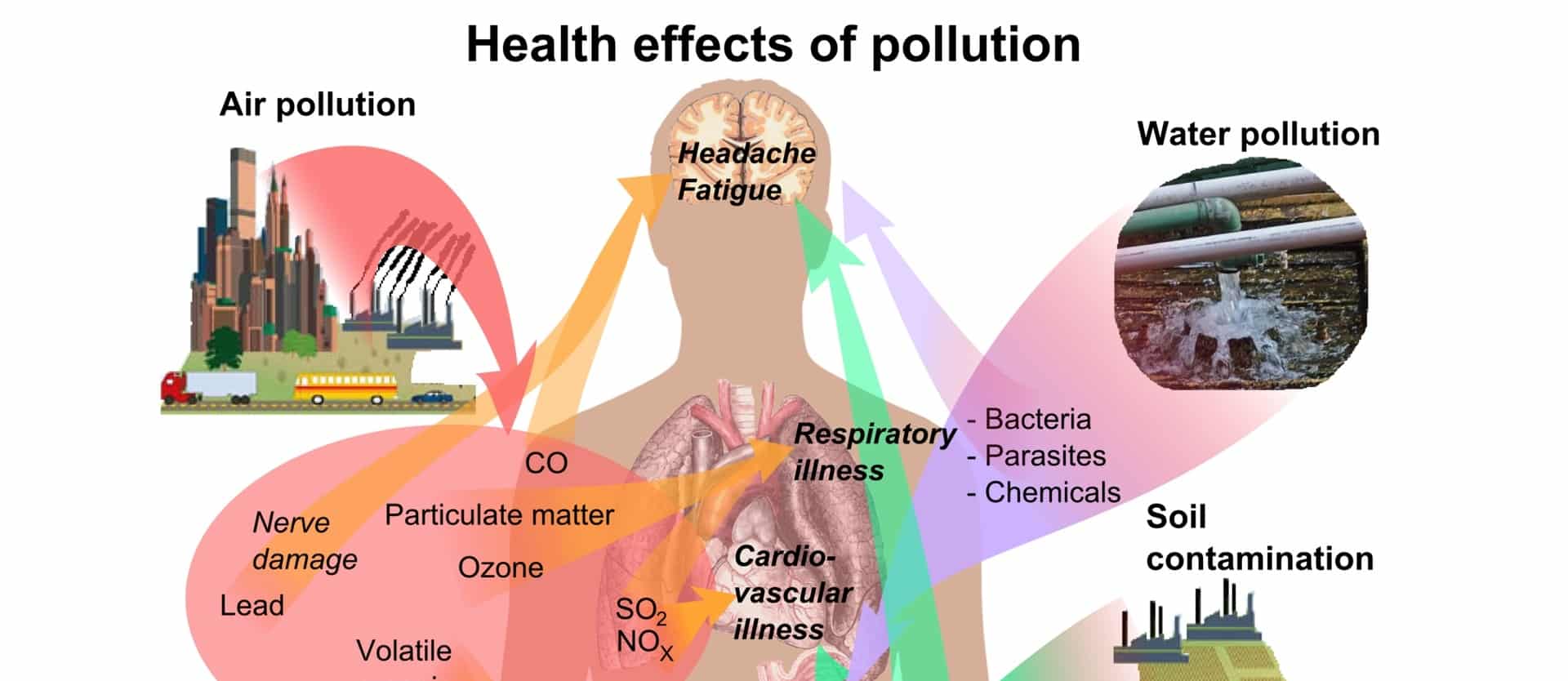 Diabetes and Dioxins