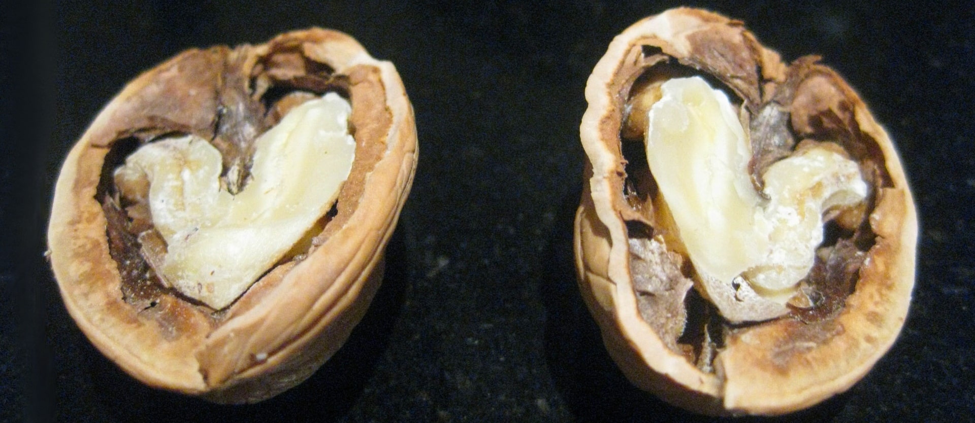 Walnuts and Arterial Funciton